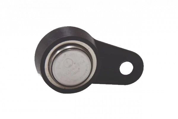 Loxone Elektronischer Schlüssel - iButton magnetisch